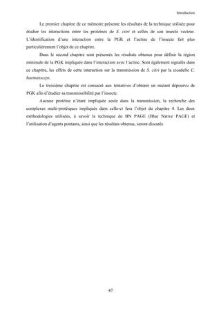 Introduction


       Le premier chapitre de ce mémoire présente les résultats de la technique utilisée pour
étudier les interactions entre les protéines de S. citri et celles de son insecte vecteur.
L’identification d’une interaction entre la PGK et l’actine de l’insecte fait plus
particulièrement l’objet de ce chapitre.
       Dans le second chapitre sont présentés les résultats obtenus pour définir la région
minimale de la PGK impliquée dans l’interaction avec l’actine. Sont également signalés dans
ce chapitre, les effets de cette interaction sur la transmission de S. citri par la cicadelle C.
haematoceps.
       Le troisième chapitre est consacré aux tentatives d’obtenir un mutant dépourvu de
PGK afin d’étudier sa transmissibilité par l’insecte.
       Aucune protéine n’étant impliquée seule dans la transmission, la recherche des
complexes multi-protéiques impliqués dans celle-ci fera l’objet du chapitre 4. Les deux
méthodologies utilisées, à savoir la technique de BN PAGE (Blue Native PAGE) et
l’utilisation d’agents pontants, ainsi que les résultats obtenus, seront discutés




                                                47
 