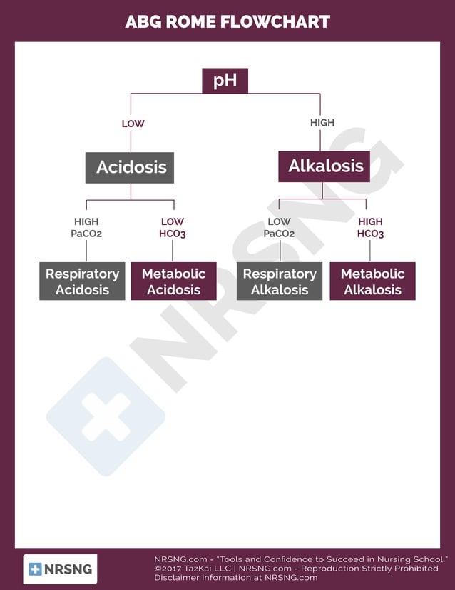 Labs 1.08-abg-rome-flowchart | PDF