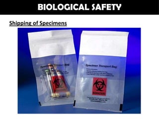 BIOLOGICAL SAFETY
Shipping of Specimens
 