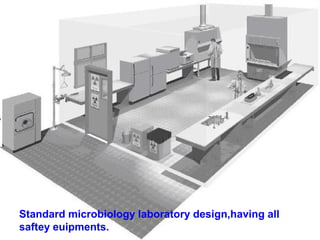 Standard microbiology laboratory design,having all
saftey euipments.
 