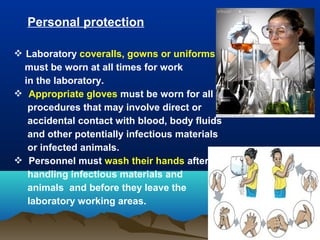 Personal protection
 Laboratory coveralls, gowns or uniforms
must be worn at all times for work
in the laboratory.
 Appropriate gloves must be worn for all
procedures that may involve direct or
accidental contact with blood, body fluids
and other potentially infectious materials
or infected animals.
 Personnel must wash their hands after
handling infectious materials and
animals and before they leave the
laboratory working areas.
 