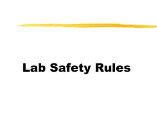 Lab Safety Rules
 