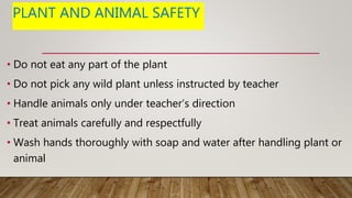 PLANT AND ANIMAL SAFETY
• Do not eat any part of the plant
• Do not pick any wild plant unless instructed by teacher
• Handle animals only under teacher’s direction
• Treat animals carefully and respectfully
• Wash hands thoroughly with soap and water after handling plant or
animal
 