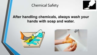 Chemical Safety 
After handling chemicals, always wash your 
hands with soap and water. 
 