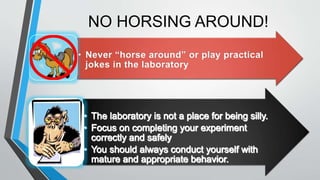 NO HORSING AROUND! 
 