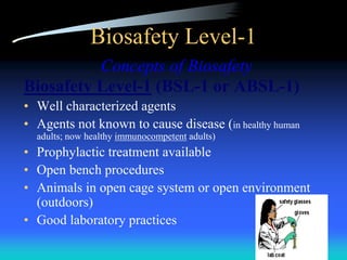 lab safety Lecture --- Three biosafety levels. | PDF
