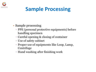 Sample Processing
 