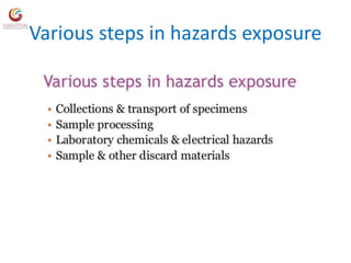 Various steps in hazards exposure
 