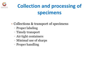 Collection and processing of
specimens
 