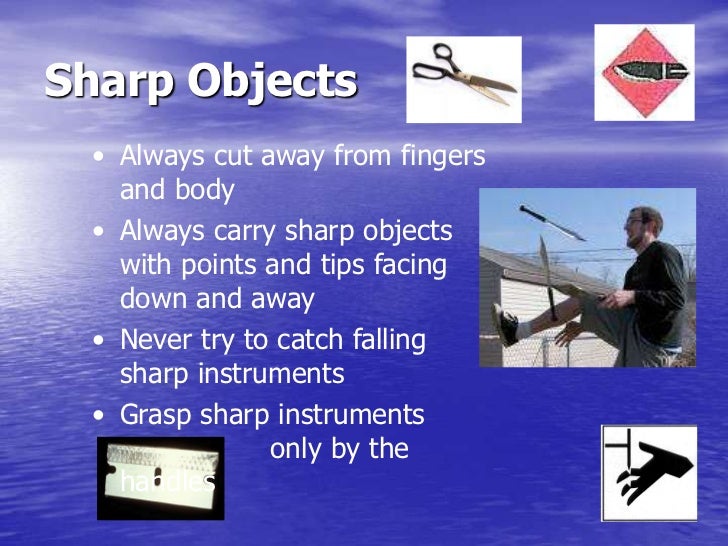 Lab+safety+rules+ppt