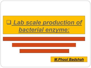  Lab scale production of
bacterial enzyme:
M.Phool Badshah
 