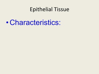 Epithelial Tissue

• Characteristics:
 
