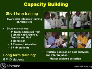 Capacity Building
 Short term training
• Two weeks intensive training
        at AfricaRice
                                      Dr Drissa Hema         Mr Guindo Brema
• Short term trainees:                (Burkina Faso)              (Mali)

   – 41 NARS scientists from
     Burkina Faso, Guinea,
     Gambia and Mali
   – 1 technician
   – 1 Research Assistant                               Dr Soungalo Sara (Mali)
   – 2 PhD students                                    Mr Mon Seraphin (Guinea)


                                 • Practical exercise on data analyses
Long term training:                and interpretation
6 PhD students                      – Marker assisted selection
 