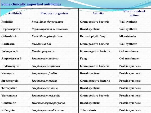 composition of 80s ribosomes Lab soil composition of 80s ribosomes Lab soil