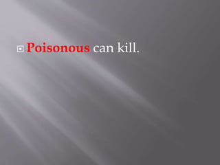  Poisonous can kill.
 