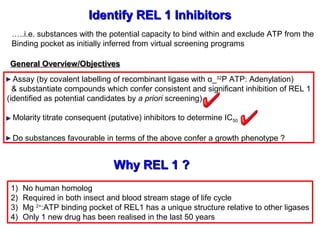 Identify REL 1 InhibitorsIdentify REL 1 Inhibitors
Assay (by covalent labelling of recombinant ligase with α_32
P ATP: Adenylation)
& substantiate compounds which confer consistent and significant inhibition of REL 1
(identified as potential candidates by a priori screening)
Molarity titrate consequent (putative) inhibitors to determine IC50
Do substances favourable in terms of the above confer a growth phenotype ?
Why REL 1 ?Why REL 1 ?
1) No human homolog
2) Required in both insect and blood stream stage of life cycle
3) Mg 2+
:ATP binding pocket of REL1 has a unique structure relative to other ligases
4) Only 1 new drug has been realised in the last 50 years
General Overview/ObjectivesGeneral Overview/Objectives
…..i.e. substances with the potential capacity to bind within and exclude ATP from the
Binding pocket as initially inferred from virtual screening programs
 