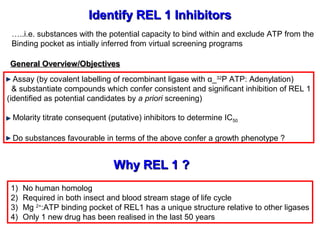 Identify REL 1 InhibitorsIdentify REL 1 Inhibitors
Assay (by covalent labelling of recombinant ligase with α_32
P ATP: Adenylation)
& substantiate compounds which confer consistent and significant inhibition of REL 1
(identified as potential candidates by a priori screening)
Molarity titrate consequent (putative) inhibitors to determine IC50
Do substances favourable in terms of the above confer a growth phenotype ?
Why REL 1 ?Why REL 1 ?
1) No human homolog
2) Required in both insect and blood stream stage of life cycle
3) Mg 2+
:ATP binding pocket of REL1 has a unique structure relative to other ligases
4) Only 1 new drug has been realised in the last 50 years
General Overview/ObjectivesGeneral Overview/Objectives
…..i.e. substances with the potential capacity to bind within and exclude ATP from the
Binding pocket as intially inferred from virtual screening programs
 