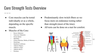 Manual muscle test for ceruval thoracic and lumbar | PDF