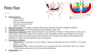 Perineometer Manual muscle test for ceruval thoracic and lumbar | PDF