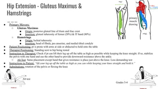 Ilium Rotation Test Manual muscle test for ceruval thoracic and lumbar | PDF