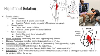Ilium Rotation Test Manual muscle test for ceruval thoracic and lumbar | PDF