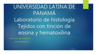 UNIVERSIDAD LATINA DE
PANAMÁ
Laboratorio de histología
Tejidos con tinción de
eosina y hematoxilina
POR: ANA KAREN IBARRA
SILKA RODRÍGUEZ
 