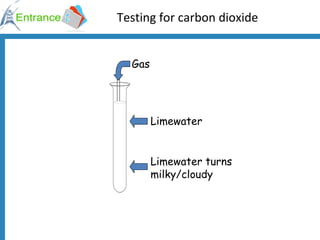Testing for carbon dioxide Gas Limewater turns milky/cloudy Limewater 