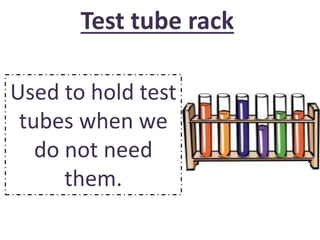 Test tube rack 
Used to hold test 
tubes when we 
do not need 
them. 
 