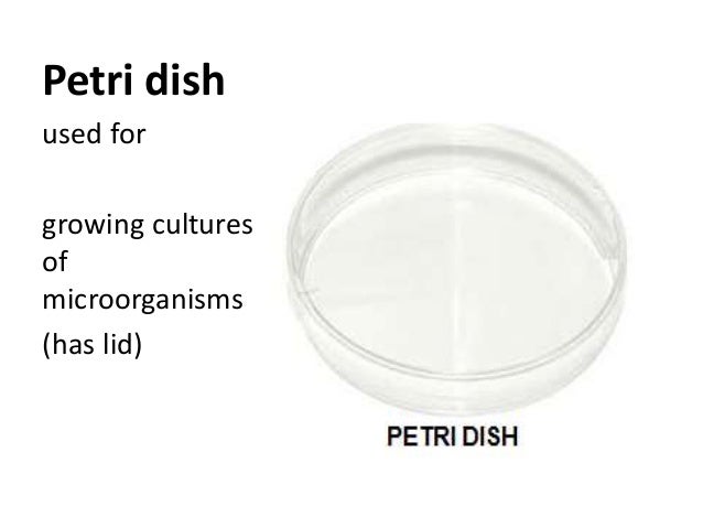 Lab Tools Powerpoint