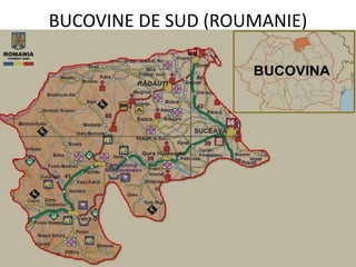 BUCOVINE DE SUD (ROUMANIE)
 