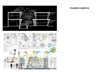 PULMON CLIMATICO
 