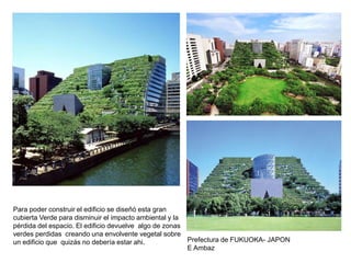 Para poder construir el edificio se diseñó esta gran
cubierta Verde para disminuir el impacto ambiental y la
pérdida del espacio. El edificio devuelve algo de zonas
verdes perdidas creando una envolvente vegetal sobre
un edificio que quizás no debería estar ahi. Prefectura de FUKUOKA- JAPON
E Ambaz
 