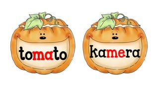 tomato kamera
 