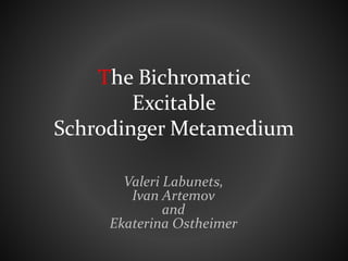 The Bichromatic
Excitable
Schrodinger Metamedium
Valeri Labunets,
Ivan Artemov
and
Ekaterina Ostheimer
 