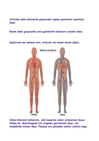 Arteriek odola bihotzetik gorputzeko organo guztietara zabaltzen
dabe.
Benak odola gorputzeko atal guztietatik bihotzera eroaten dabe.
Kapilarrak oso meheak dira, arteriak eta benak lotzen dabez.
Odola bihotzak bultzatuta, odol basoetan zehar zirkulatzen dauan
likidoa da. Mantenugaiak eta oxigenoa garraiatzen dauz, eta
hondakinak batzen dauz. Plasmaz eta plasmako zelulez osotuta dago.
 