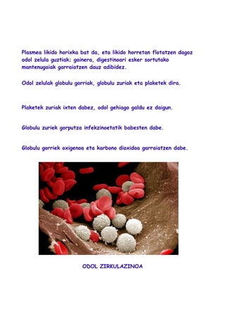Plasmea likido horixka bat da, eta likido horretan flotatzen dagoz
odol zelula guztiak; gainera, digestinoari esker sortutako
mantenugaiak garraiatzen dauz adibidez.
Odol zelulak globulu gorriak, globulu zuriak eta plaketek dira.
Plaketek zuriak ixten dabez, odol gehiago galdu ez daigun.
Globulu zuriek gorputza infekzinoetatik babesten dabe.
Globulu gorriek oxigenoa eta karbono dioxidoa garraiatzen dabe.
ODOL ZIRKULAZINOA
 