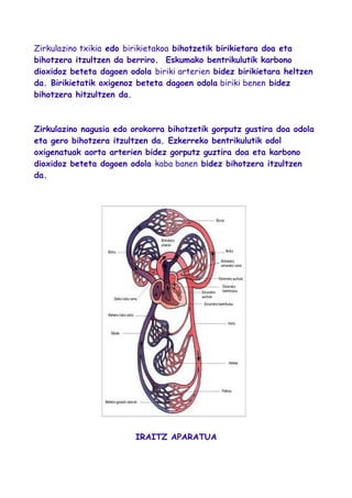 Zirkulazino txikia edo birikietakoa bihotzetik birikietara doa eta
bihotzera itzultzen da berriro. Eskumako bentrikulutik karbono
dioxidoz beteta dagoen odola biriki arterien bidez birikietara heltzen
da. Birikietatik oxigenoz beteta dagoen odola biriki benen bidez
bihotzera hitzultzen da.
Zirkulazino nagusia edo orokorra bihotzetik gorputz gustira doa odola
eta gero bihotzera itzultzen da. Ezkerreko bentrikulutik odol
oxigenatuak aorta arterien bidez gorputz guztira doa eta karbono
dioxidoz beteta dogoen odola kaba banen bidez bihotzera itzultzen
da.
IRAITZ APARATUA
 
