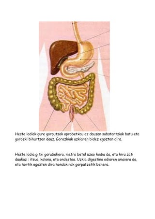 Heste lodiak gure gorputzak aprobetxau ez dauzan substantziak batu eta
gorozki bihurtzen dauz. Gorozkiak uzkiaren bidez egozten dira.
Heste lodia gitxi gorabehera, metro betel uzeo hodia da, eta hiru zati
daukaz : itsua, kolona, eta ondestea. Uzkia digestino odiaren amaiera da,
eta hortik egozten dira hondakinak gorputzetik behera.
 