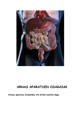 ARNAS APARATUEN OSAGAIAK
Arnasa aparatua arnasbidez eta birikiz osotuta dago.
 