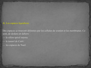 4). Les espaces liquidiens:
Des espaces se trouvent délimités par les cellules de soutien et les membranes. Ce
sont, de dedans en dehors:
— le sillon spiral interne.
— le tunnel de Corti.
— les espaces de Nuel.
 