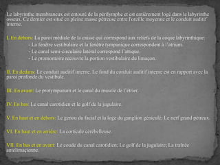 Le labyrinthe membraneux est entouré de la périlymphe et est entièrement logé dans le labyrinthe
osseux. Ce dernier est situé en pleine masse pétreuse entre l'oreille moyenne et le conduit auditif
interne.
I. En dehors: La paroi médiale de la caisse qui correspond aux reliefs de la coque labyrinthique:
- La fenêtre vestibulaire et la fenêtre tympanique correspondent à l’atrium.
- Le canal semi-circulaire latéral correspond l’attique.
- Le promontoire recouvre la portion vestibulaire du limaçon.
II. En dedans: Le conduit auditif interne. Le fond du conduit auditif interne est en rapport avec la
paroi profonde du vestibule.
III. En avant: Le protympanum et le canal du muscle de l’étrier.
IV. En bas: Le canal carotidien et le golf de la jugulaire.
V. En haut et en dehors: Le genou du facial et la loge du ganglion géniculé; Le nerf grand pétreux.
VI. En haut et en arrière: La corticale cérébelleuse.
VII. En bas et en avant: Le coude du canal carotidien; Le golf de la jugulaire; La traînée
antélimaçienne.
 