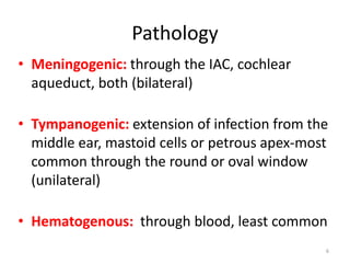 Pathology
• Meningogenic: through the IAC, cochlear
aqueduct, both (bilateral)
• Tympanogenic: extension of infection from the
middle ear, mastoid cells or petrous apex-most
common through the round or oval window
(unilateral)
• Hematogenous: through blood, least common
6

 