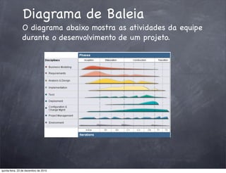Diagrama de Baleia
                O diagrama abaixo mostra as atividades da equipe
                durante o desenvolvimento de um projeto.




quinta-feira, 23 de dezembro de 2010
 