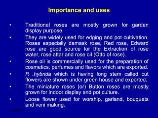 Product Overview For Roses lac 3 CULTIVATION OF ROSE2.ppt