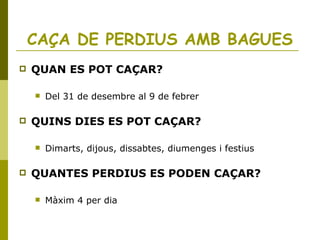 CAÇA DE PERDIUS AMB BAGUES
 QUAN ES POT CAÇAR?
 Del 31 de desembre al 9 de febrer
 QUINS DIES ES POT CAÇAR?
 Dimarts, dijous, dissabtes, diumenges i festius
 QUANTES PERDIUS ES PODEN CAÇAR?
 Màxim 4 per dia
 