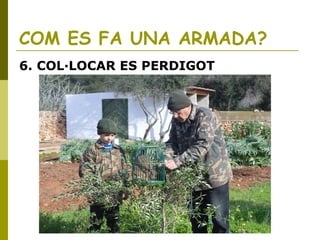 COM ES FA UNA ARMADA?
6. COL·LOCAR ES PERDIGOT
 