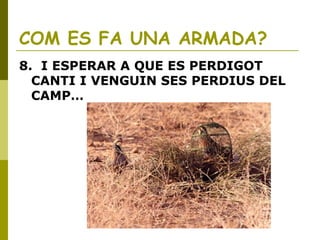 COM ES FA UNA ARMADA?
8. I ESPERAR A QUE ES PERDIGOT
CANTI I VENGUIN SES PERDIUS DEL
CAMP…
 
