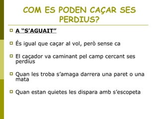 COM ES PODEN CAÇAR SES
PERDIUS?
 A “S’AGUAIT”
 És igual que caçar al vol, però sense ca
 El caçador va caminant pel camp cercant ses
perdius
 Quan les troba s’amaga darrera una paret o una
mata
 Quan estan quietes les dispara amb s’escopeta
 