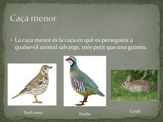 La caça | PPTX