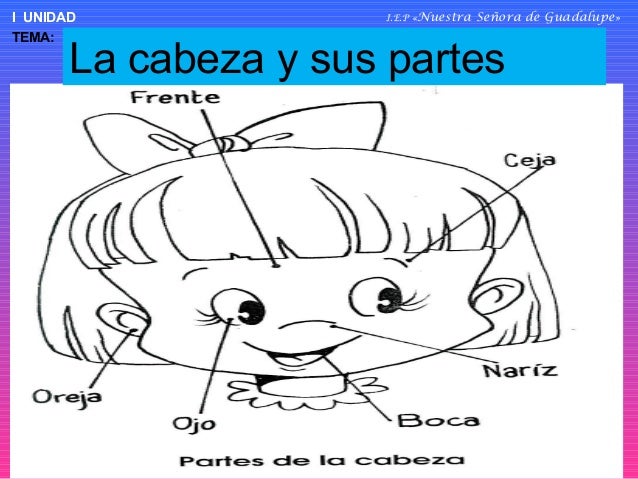 La cabeza 2 015